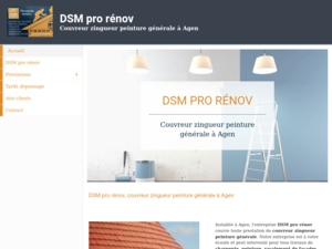 DSM pro rénov Agen, Peinture