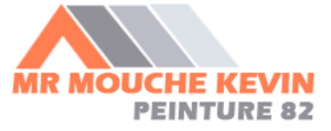 Mouche Kevin Peinture 82 Montauban, Peinture, Couverture