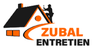 Zubal Entretiens Thenay, Couverture
